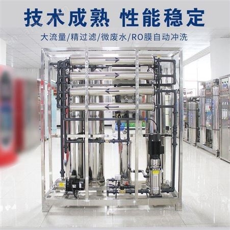 纯水反渗透设备可定制水处理纯净水处理设备吉林大桶水生产