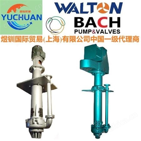 进口水泵，卧式渣浆泵，矿用搅拌泥浆泵，进口液下渣浆泵：WALTON美沃尔顿