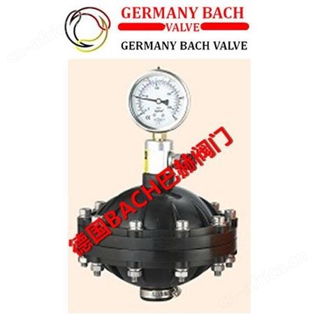 进口取样阀（进口考克阀）-德国BACH巴赫