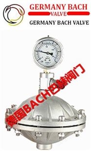 进口取样阀（进口考克阀）-德国BACH巴赫
