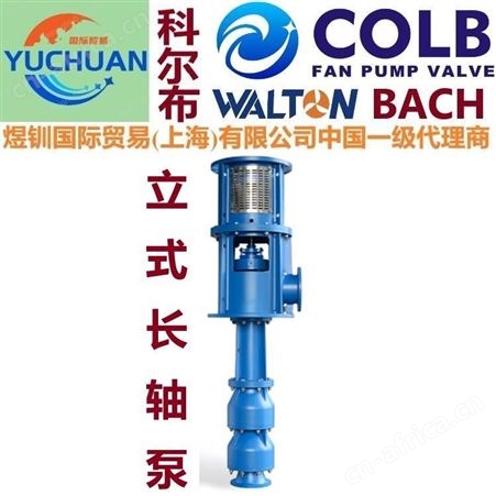 大流量立式斜流泵，大流量轴流泵，立式轴流泵，美国COLB科尔布长轴泵