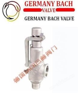 德国BACH巴赫进口弹簧微启式外螺纹安全阀，法兰安全阀