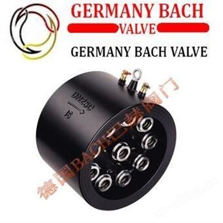 德国BACH巴赫进口角式快开排泥阀 角式快开排泥阀