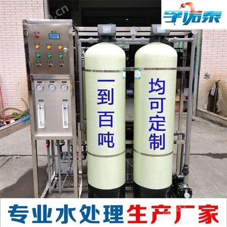 哈尔滨大型工业双极反渗透设备超纯水ro膜水处理净水设备