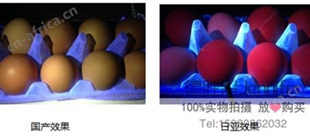 UVLED手电 紫外线荧光检测手电 365nm 3W荧光激发手电筒