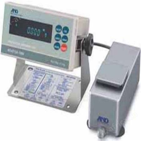 110g/0.1mg日本艾安得AND生产线称重系统