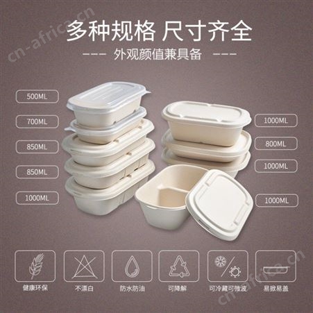 高档环保可降解饭盒一次性纸浆盒外卖快餐盒分格沙拉打包盒子500套山东生产厂家 意点森昂