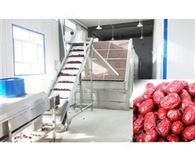 红枣烘干流水线​