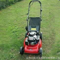 便携背负式割草机 小型家用割灌机 手推式草坪机价格