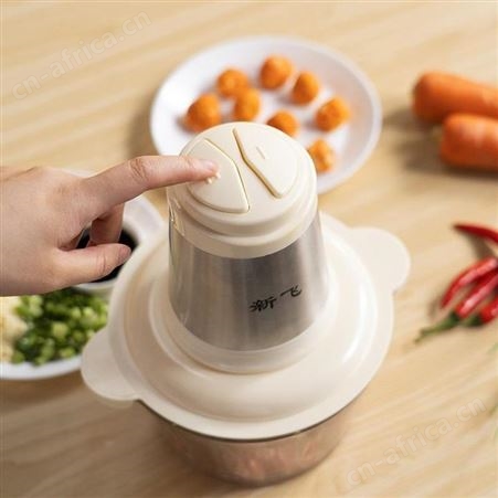 新飞 多功能绞肉机 FTJR-006 美泽天津礼品订制 礼品代理商 MY-MLHL-Y-L5-317