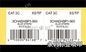 R1电池标签可变喷印系统技术参数 Technical Parameters R1电池标签可变喷印系统技术参数 Technical Parameters