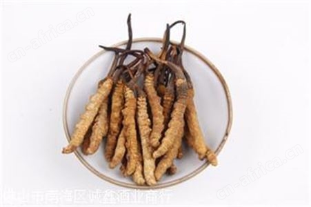 从化城郊回收冬虫夏草可以