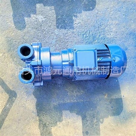供应 水环泵2BV2060 不锈钢叶轮真空泵 304材质水环式真空泵