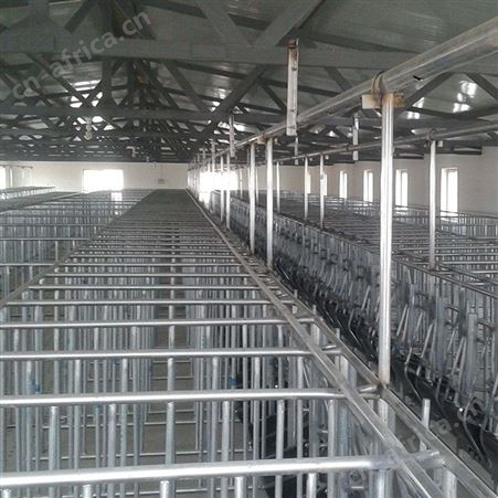 厂家承接 养猪全自动料线 猪厂自动化料线 养猪自动送料设备