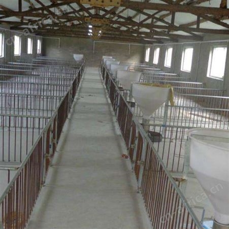 现货供应 保育床  双体仔猪保育两用一体产床 双体两用复合板保育床 鸿元加工