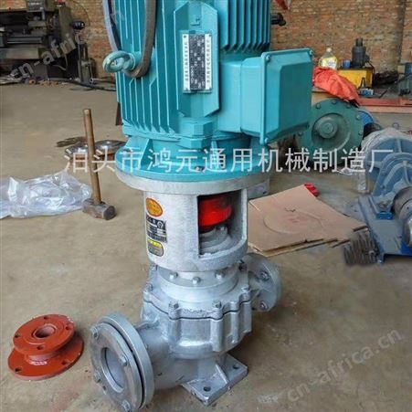 供应 泊头导热油泵RY125-100-250B 泊头大流量导热油泵生产厂家 高温泵型号