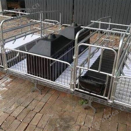 供应 泊头养猪设备限位栏 猪用产床生产厂家 热镀锌材质母猪限位栏 畜牧养殖设备