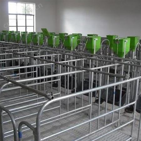 五位限位栏 定位限位栏 猪用限位栏 欢迎来电订购