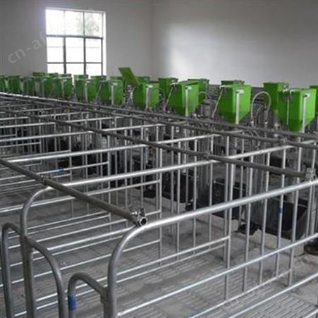 猪用限位栏 批量销售  现货批发 落地限位栏 母猪定位栏