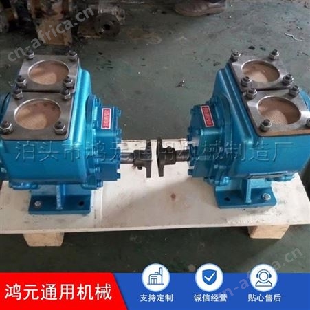 鸿元机械供应 100YHCB-100尼龙轮齿轮泵 铜轮汽油柴油用泵 100立方的大流量泵