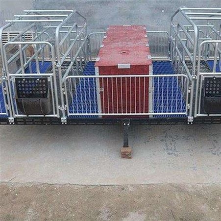 复合板母猪产床  咨询订购 规格可定制 养猪设备产床 产保一体产床