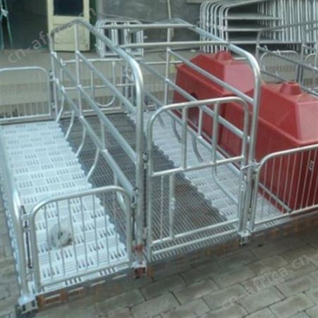 厂家承接 养猪全自动料线 猪厂自动化料线 养猪自动送料设备