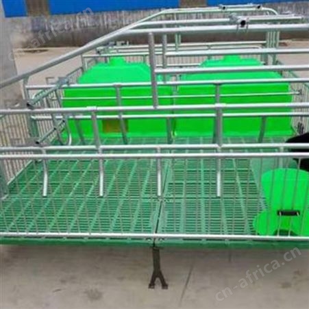 猪用产床 发货及时 养猪设备 鸿元通用机械 猪用单体双体产床