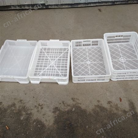 合肥塑料多用箱18高度塑料鸭苗筐610*400*180mm塑料筐鸡苗筐