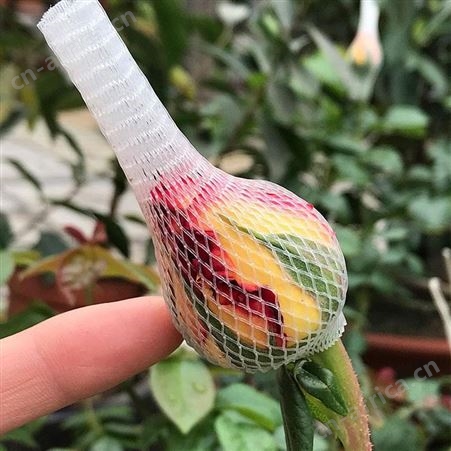 玫瑰花网套 月季鲜花套袋 花苞塑形保护网 昆明花头套批发市场厂家 戈慕莱