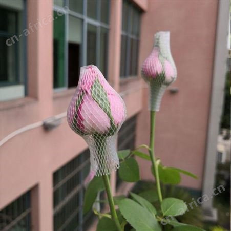 玫瑰花网套 月季鲜花套袋 花苞塑形保护网 昆明花头套批发市场厂家 戈慕莱