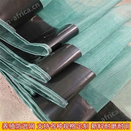 养殖防逃网 螃蟹青蛙养殖防逃网 甲鱼密目围网 戈慕莱 工厂现货批发