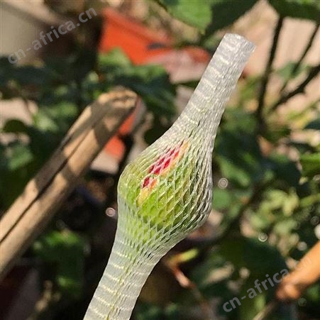 玫瑰花网套 月季鲜花套袋 花苞塑形保护网 昆明花头套批发市场厂家 戈慕莱