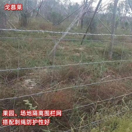 钢丝牛栏网 畜牧业养殖围网 山地隔离防护网 Y型柱打结网 广州厂家批发 戈慕莱