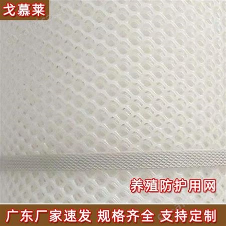 广东塑料平网 小孔平垫塑料网 白色化工阻燃塑料网 可裁片  戈慕莱