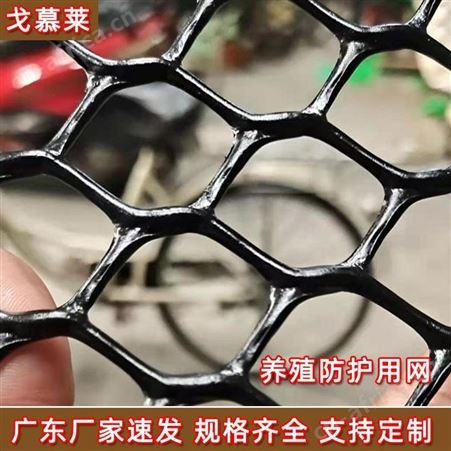 广东塑料平网 小孔平垫塑料网 白色化工阻燃塑料网 可裁片  戈慕莱