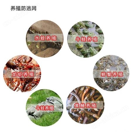 养殖防逃网 螃蟹青蛙养殖防逃网 甲鱼密目围网 戈慕莱 工厂现货批发