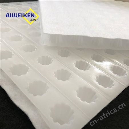 天津排水板厂家 车库顶板虹吸系统排水板 艾维肯塑料异形片