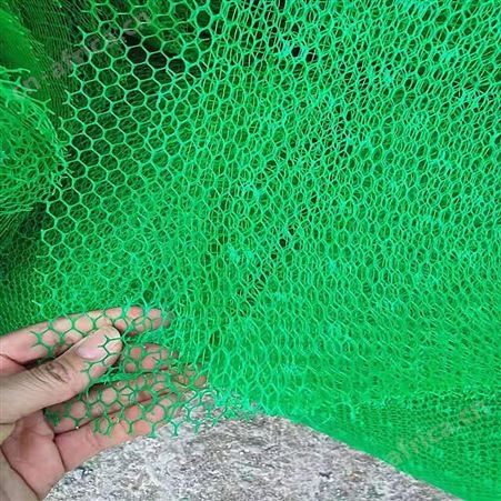 两层加筋三维植被网 边坡绿化三维网 防止水土流失