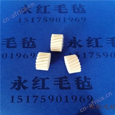 斜齿毛毡齿轮   直齿纯羊毛毡齿轮 润滑斜齿齿轮毛毡