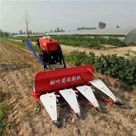 诚誉 汽油动力割晒机 农用宽幅式稻麦收割机 茴香小麦割倒机