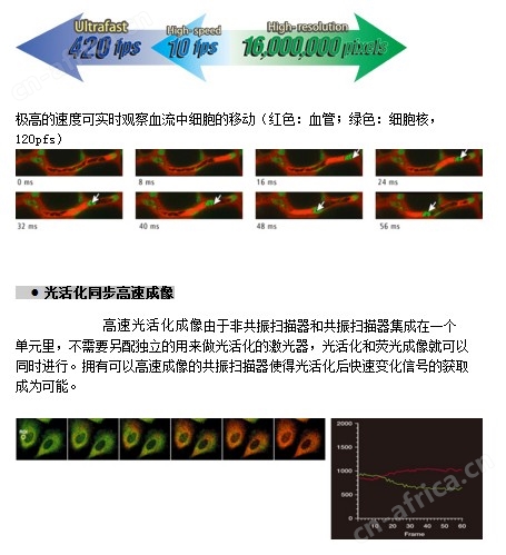 Nikon尼康显微镜 A1+/AR1+共聚焦激光显微镜系统工作原理