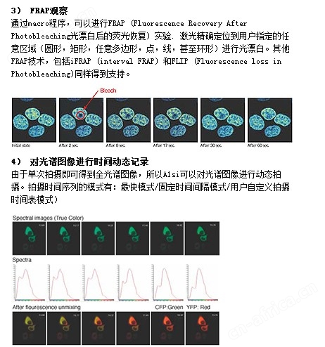 日本尼康A1si+/A1Rsi+共聚焦显微镜 Nikon显微镜价格