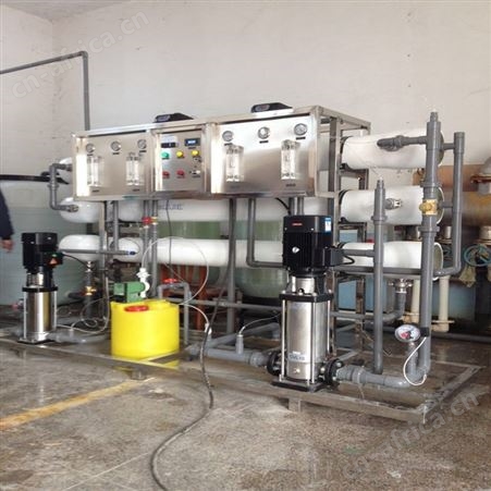 全自动控制 自动反洗再生程序反渗透设备 防冻液水处理纯水设备