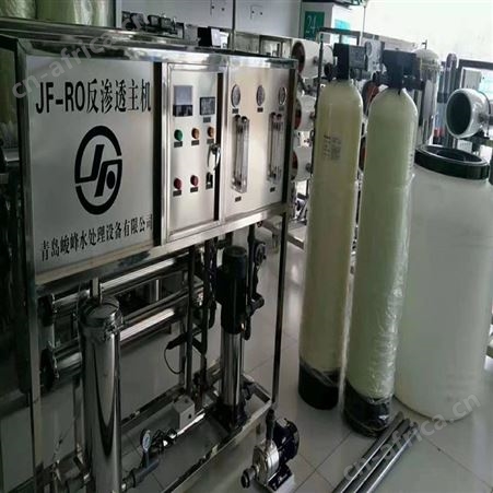 0.5吨双级纯净水设备安装 工业级全自动清洗过滤器 峻峰环保
