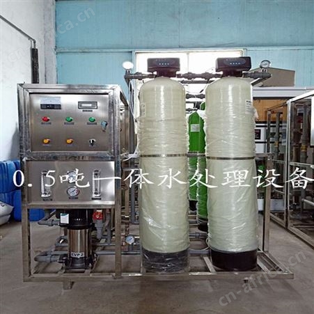 0.5吨双级纯净水设备安装 工业级全自动清洗过滤器 峻峰环保