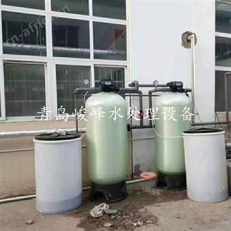 0.5吨双级纯净水设备安装 工业级全自动清洗过滤器 峻峰环保