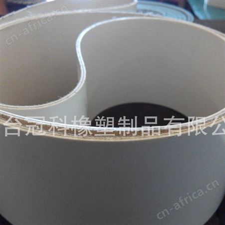 冠科GK-100环形输送带,河北输送带,橡塑输送