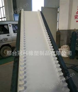 冠科GK-100 食品输送带, 输送带,pu