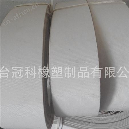 冠科GK-100环形输送带,轻型食品输送带,双面