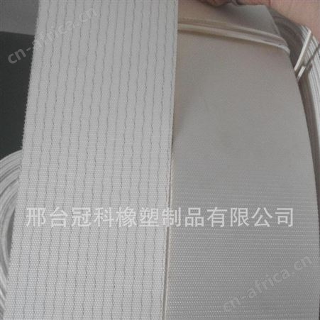 冠科GK-100环形输送带,轻型食品输送带,双面